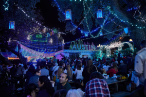 Mozart's Coffee Roasters Holiday Lights Show - ek public relations